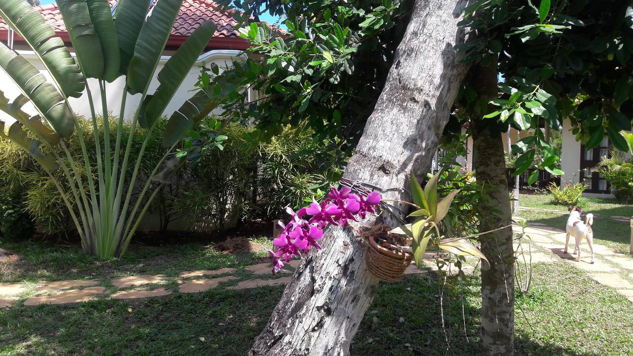 Lanka Beach Grand Villa Rekawa Zewnętrze zdjęcie